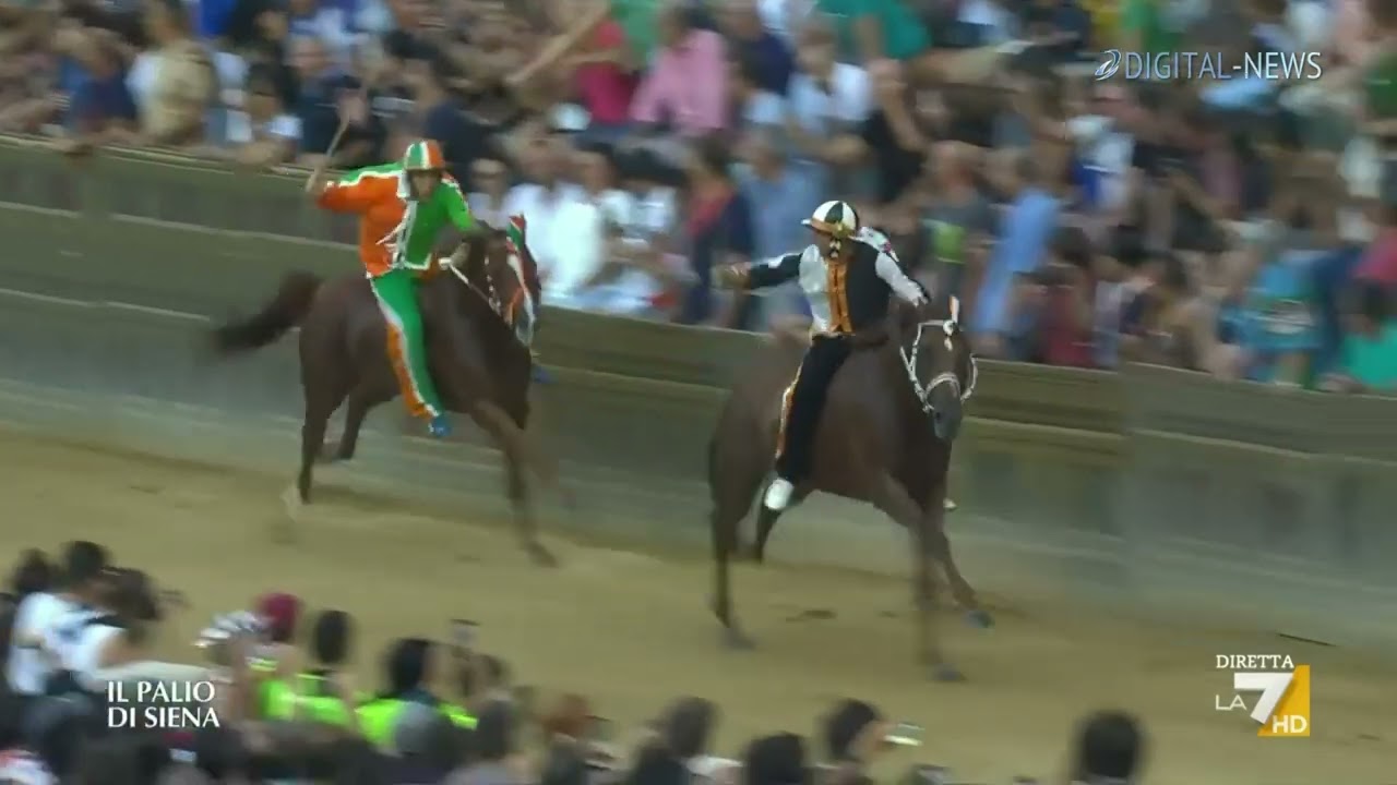 Palio Siena 