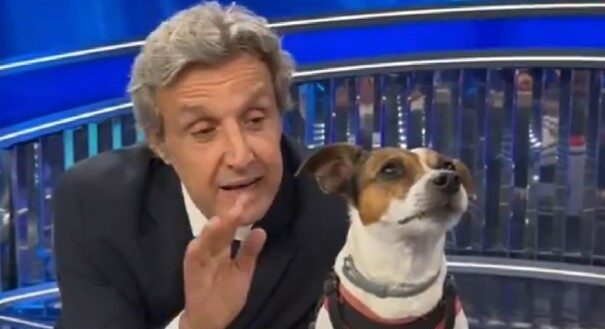 la7 cancella famiglie d8217italia di flavio insinna ad omnibus arriva gerardo greco